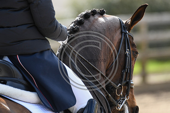Charlotte Dujardin_MSJ Freestyle_EliteTrainingComp_PN21_1880