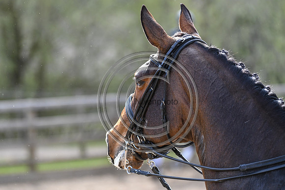 Charlotte Dujardin_MSJ Freestyle_EliteTrainingComp_PN21_1883