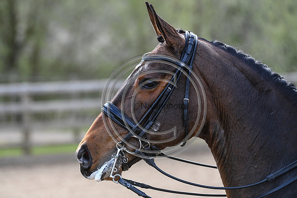 Charlotte Dujardin_MSJ Freestyle_EliteTrainingComp_PN21_1885