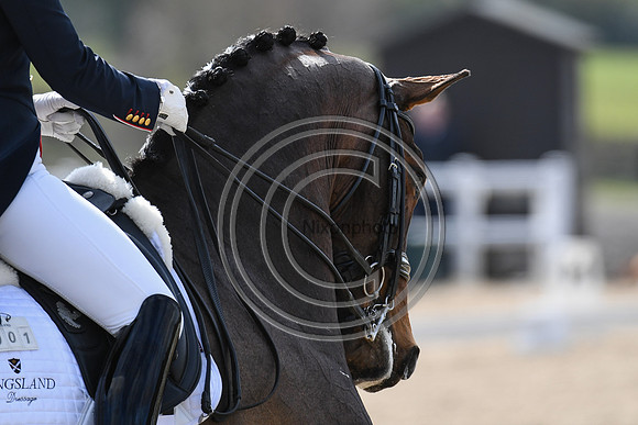 Charlotte Dujardin_MSJ Freestyle_EliteTrainingComp_PN21_1910