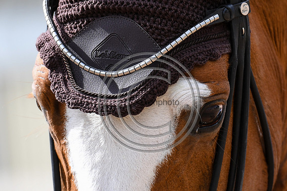 Tom Goode_Dior_EliteTrainingComp_PN21_2067