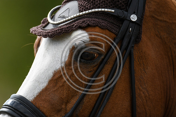 Tom Goode_Dior_EliteTrainingComp_PN21_2069