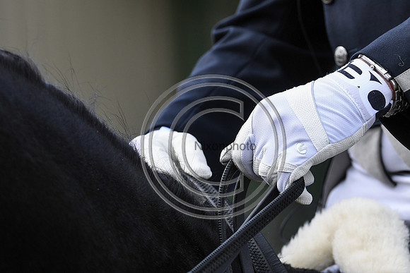 Carl Hester_En Vogue_EliteTrainingComp_PN21_2139