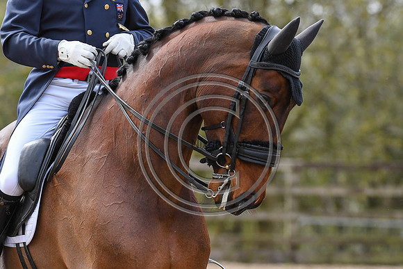 Richard Davison_Bubblingh_EliteTrainingComp_PN21_2979