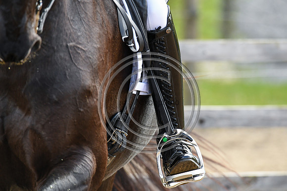 Carl Hester_En Vogue_EliteTrainingComp_PN21_2143