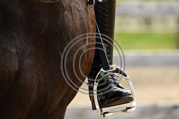 Carl Hester_En Vogue_EliteTrainingComp_PN21_2144