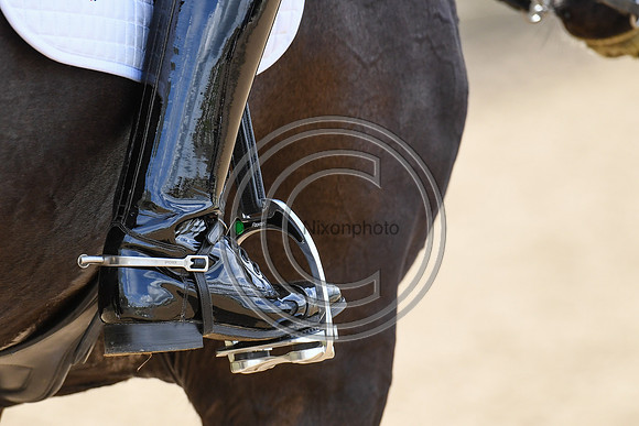 Carl Hester_En Vogue_EliteTrainingComp_PN21_2156