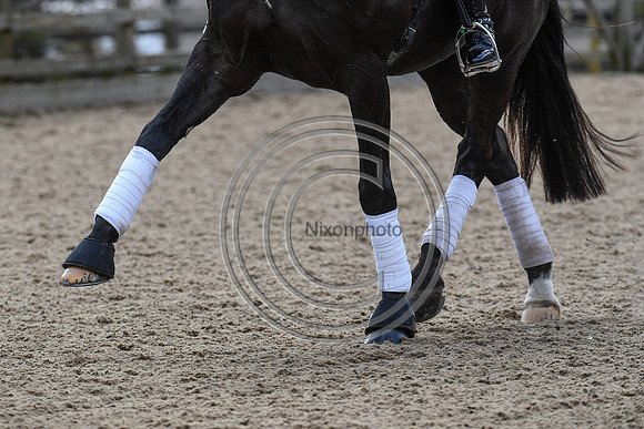 Carl Hester_En Vogue_EliteTrainingComp_PN21_2166