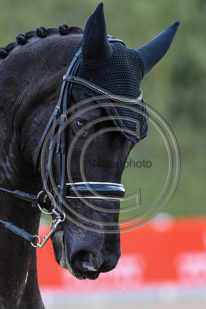 Carl Hester_En Vogue_EliteTrainingComp_PN21_2199