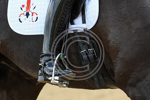 Carl Hester_En Vogue_EliteTrainingComp_PN21_2209