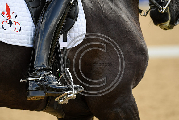 Carl Hester_En Vogue_EliteTrainingComp_PN21_2210