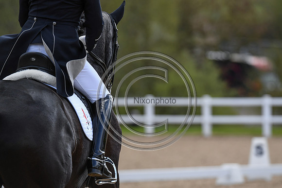 Carl Hester_En Vogue_EliteTrainingComp_PN21_2211