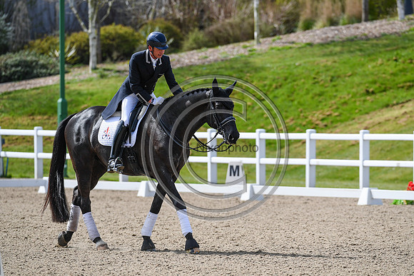 Carl Hester_En Vogue_EliteTrainingComp_PN21_2228