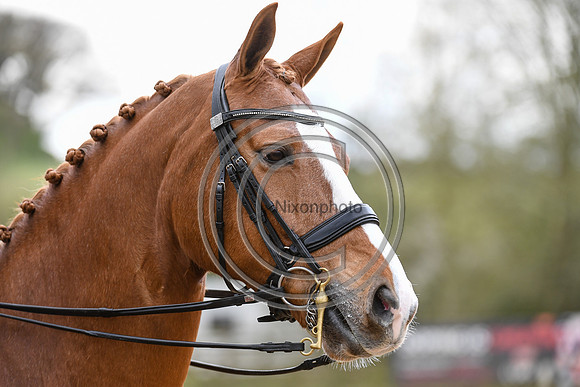 Charlotte Dujardin_Gio_EliteTrainingComp_PN21_2515