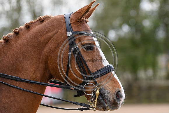Charlotte Dujardin_Gio_EliteTrainingComp_PN21_2516