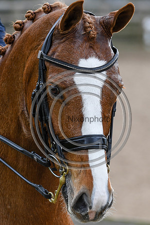 Charlotte Dujardin_Gio_EliteTrainingComp_PN21_2517