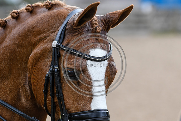 Charlotte Dujardin_Gio_EliteTrainingComp_PN21_2518