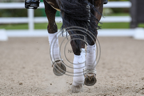 Ellie McCarthy_GB Londerro von Worrenberg_EliteTrainingComp_PN21_2597