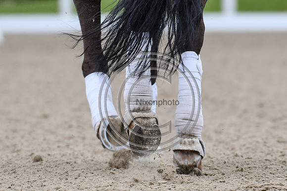 Ellie McCarthy_GB Londerro von Worrenberg_EliteTrainingComp_PN21_2598