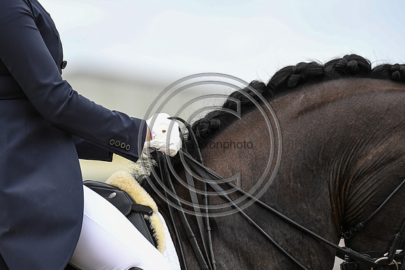 Ellie McCarthy_GB Londerro von Worrenberg_EliteTrainingComp_PN21_2603