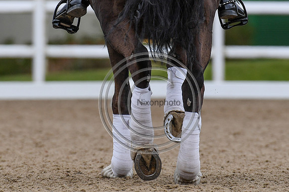 Ellie McCarthy_GB Londerro von Worrenberg_EliteTrainingComp_PN21_2611