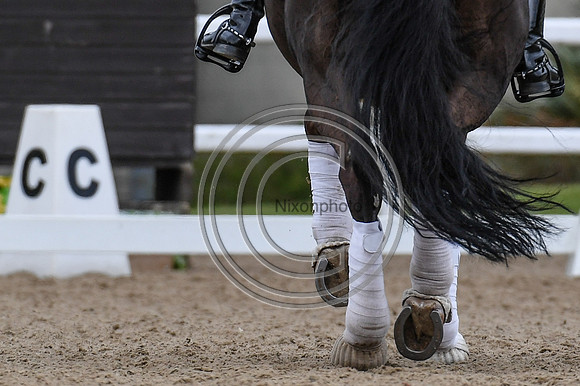 Ellie McCarthy_GB Londerro von Worrenberg_EliteTrainingComp_PN21_2612