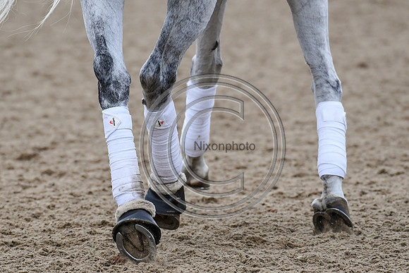 Charlotte Dujardin_Florentina_EliteTrainingComp_PN21_2779