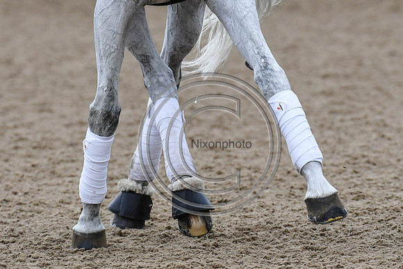Charlotte Dujardin_Florentina_EliteTrainingComp_PN21_2788