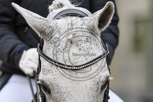 Charlotte Dujardin_Florentina_EliteTrainingComp_PN21_2791