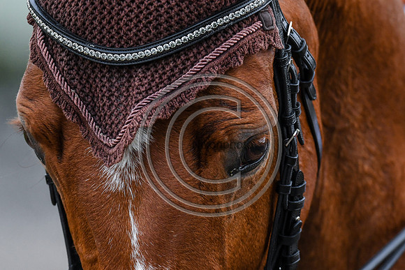 Alice Oppenheimer_Headmore Dirubinio_EliteTrainingComp_PN21_2931
