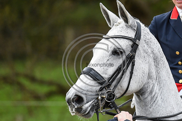 Charlotte Dujardin_Florentina_EliteTrainingComp_PN21_2845