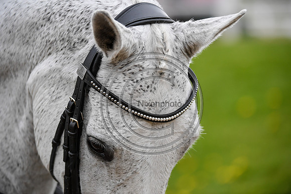 Charlotte Dujardin_Florentina_EliteTrainingComp_PN21_2920