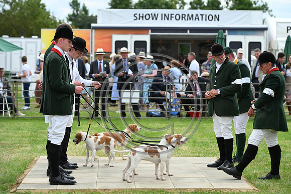 Festival of Hounds 2024