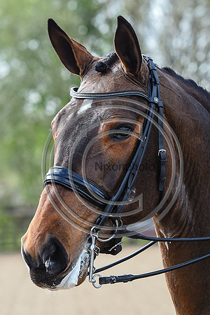 Charlotte Dujardin_MSJ Freestyle_EliteTrainingComp_PN21_2986