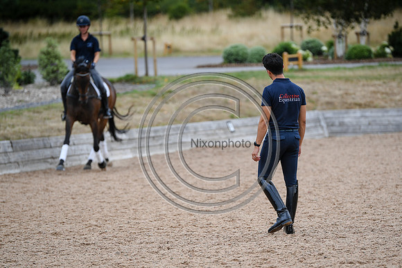 Collective Equestrian