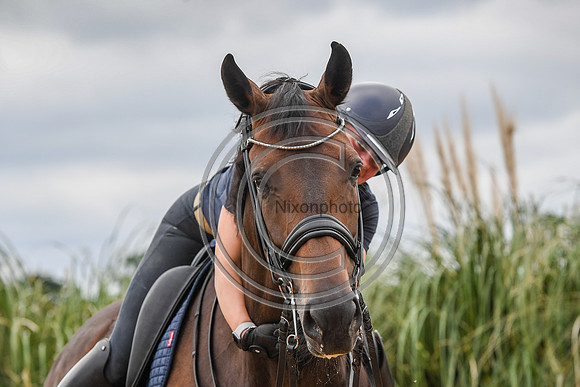Collective Equestrian