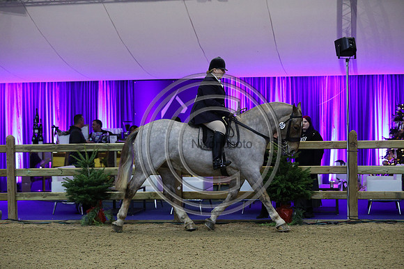 Rising Star_CobChamp_LIHS_PN24_10181
