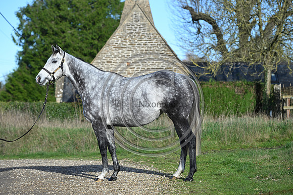 Mare_Selwood_PN58