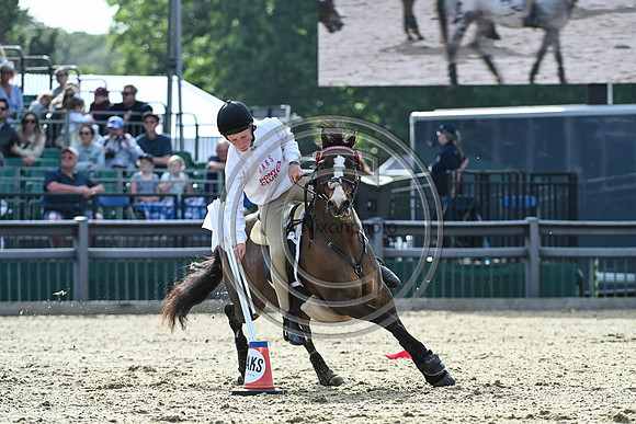 DAKS_PC_RWHS25_P189981