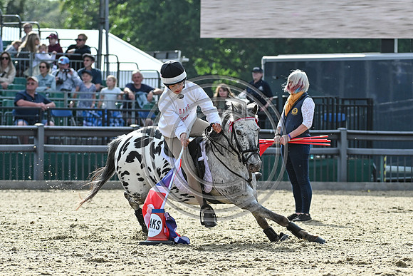 DAKS_PC_RWHS25_P189983