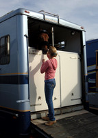 OlympicHorses_08KH266