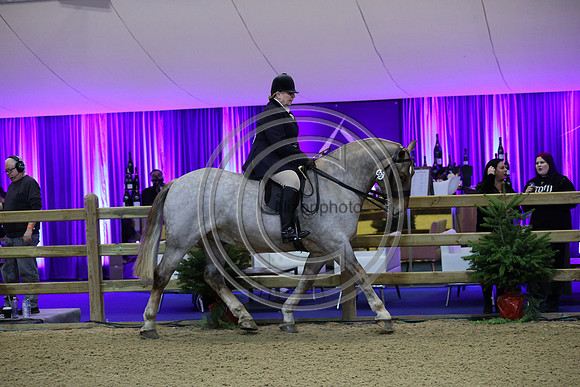 Rising Star_CobChamp_LIHS_PN24_10200