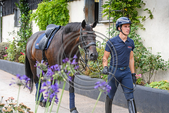 Collective Equestrian