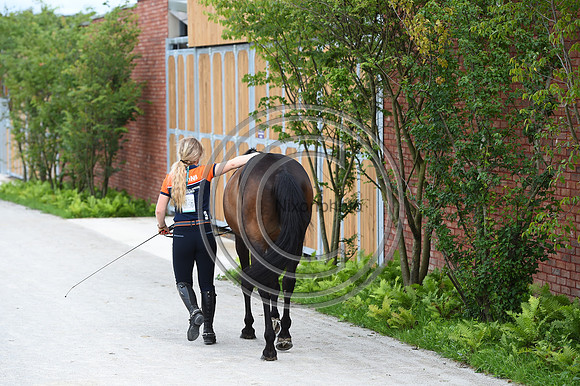 FEI Eventing European Championship