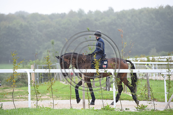 FEI Eventing European Championship