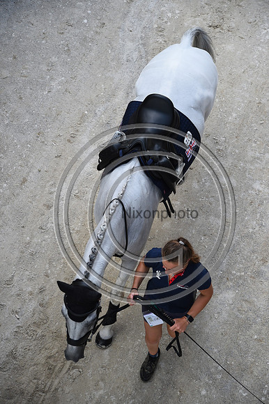 FEI Eventing European Championship