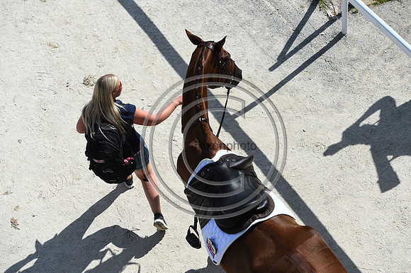 FEI Eventing European Championship