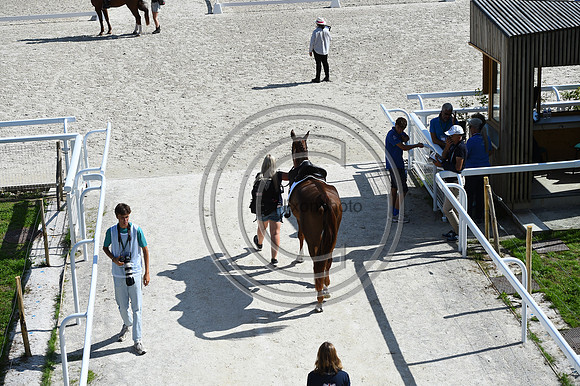 FEI Eventing European Championship