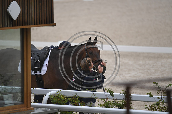 FEI Eventing European Championship