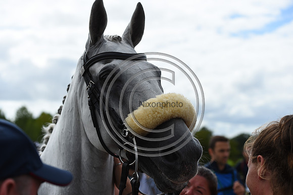 FEI Eventing European Championship